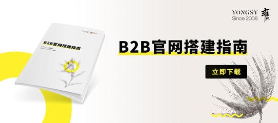 哪个网站开启了b2b时代(b2b开源网站系统)